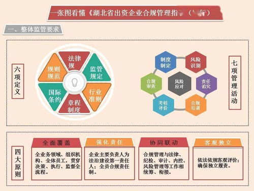 省出資企業(yè)合規(guī)管理指引圖解 投資管理咨詢服務(wù)的紅線與路徑